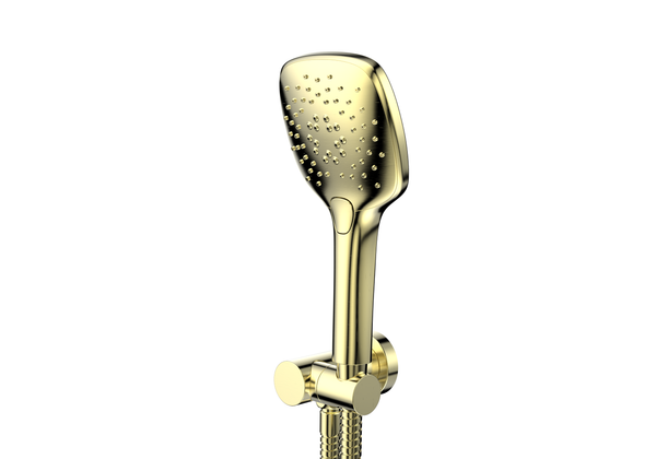 Greens Skyla Hand Shower Brushed Brass