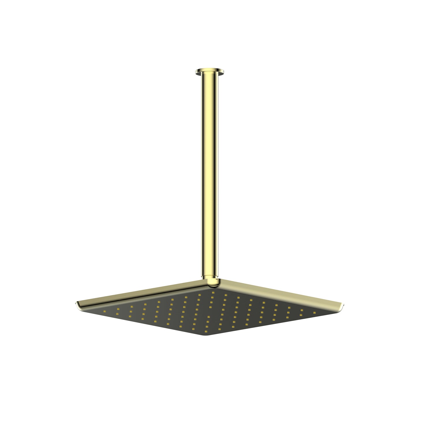 Greens Skyla Ceiling Shower Brushed Brass