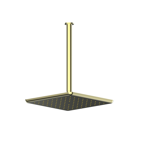 Greens Skyla Ceiling Shower Brushed Brass