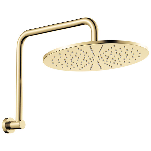 Fienza Empire Slim Gooseneck Shower Head and Arm Set - Brushed Gold (Urban Brass)