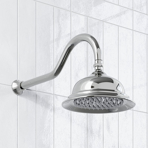Modern National Bordeaux Shower Arm and Rose Chrome