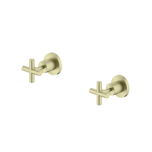Nero X Plus Wall Taps Brushed Gold