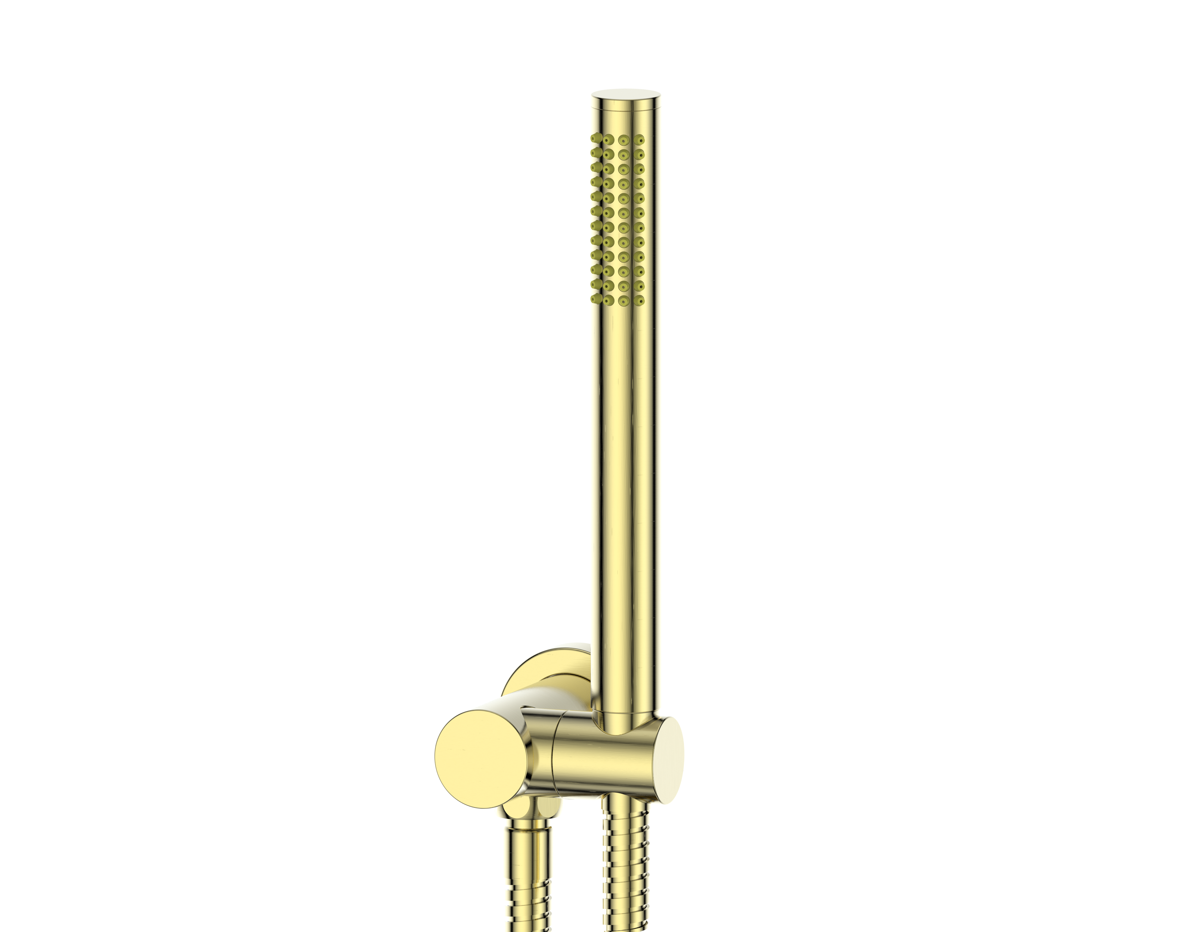 Greens Rocco Pin Hand Shower Brushed Brass