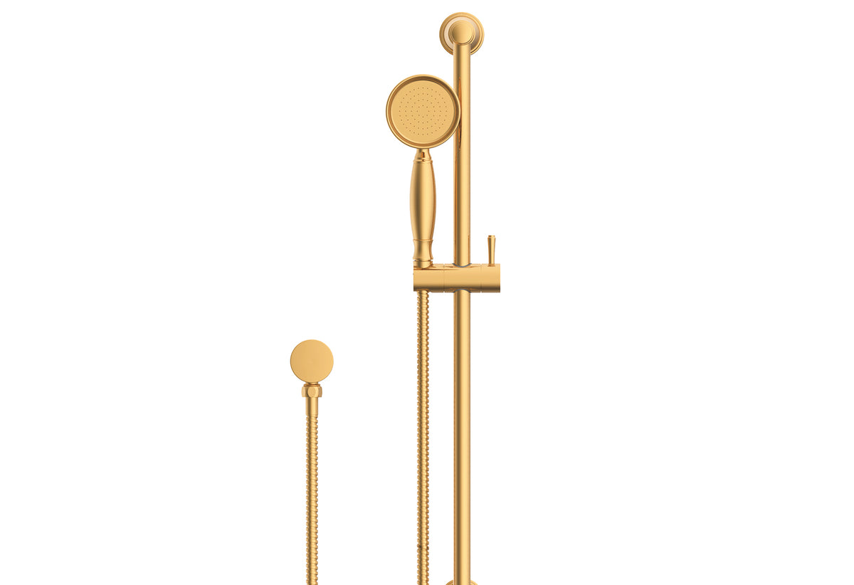 ADP Eternal Handshower on Rail Brushed Brass
