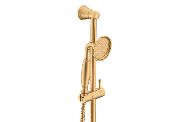 ADP Eternal Handshower on Rail Brushed Brass