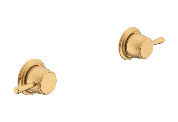 ADP Eternal Wall Top Assembly pair Brushed Brass