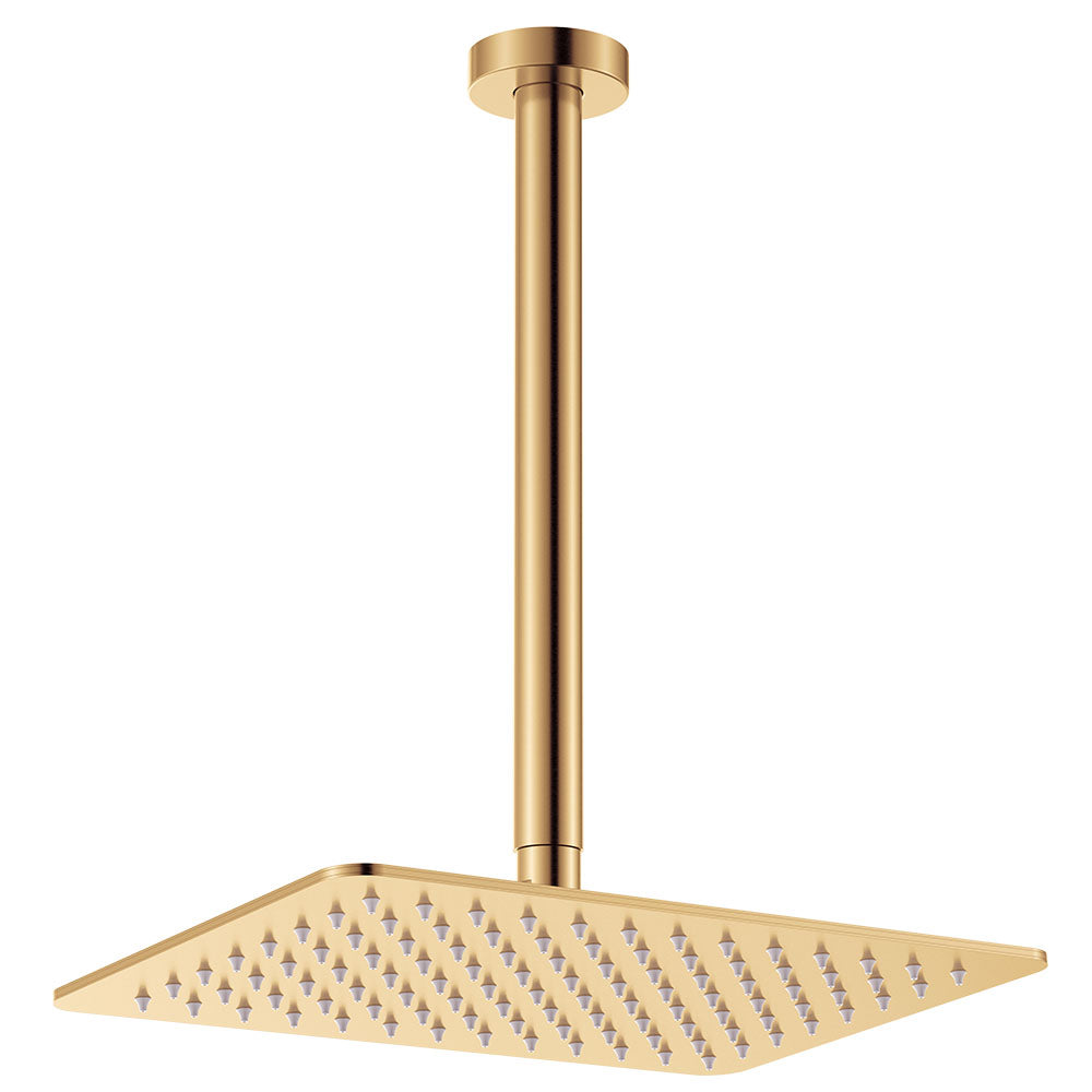Fienza Tono Shower Dropper Set, Brushed Gold (Urban Brass)