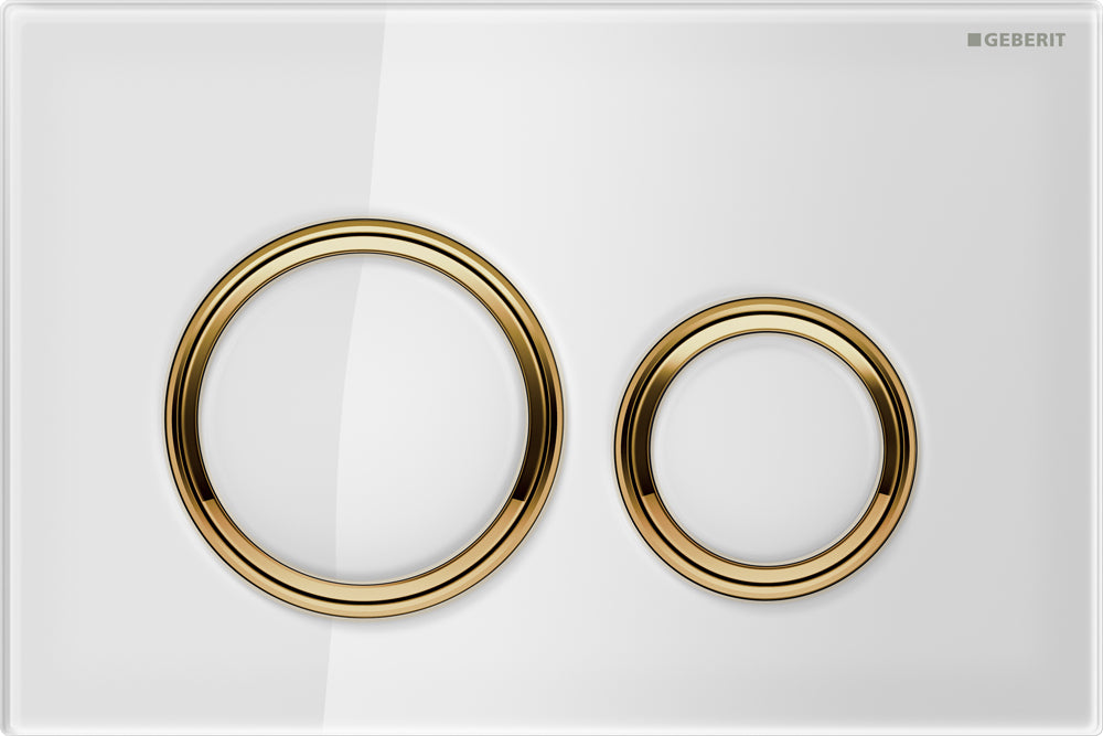 Geberit Sigma 21 Flush Plate Button White, Brass Trim