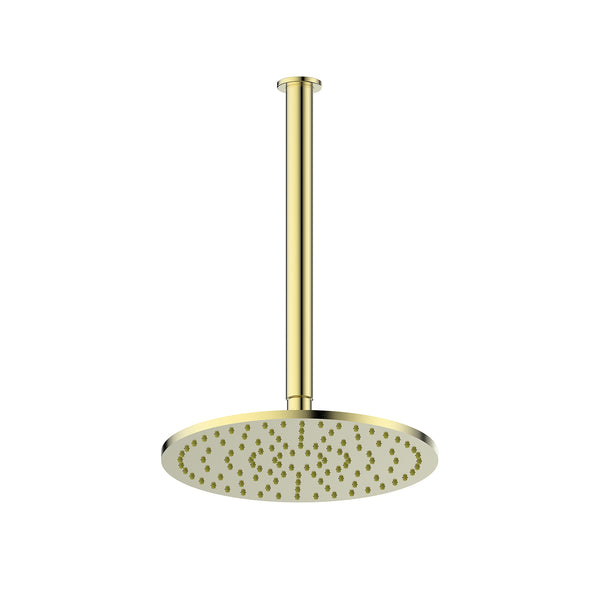 Greens Lavish Brass Ceiling Shower Brushed Brass