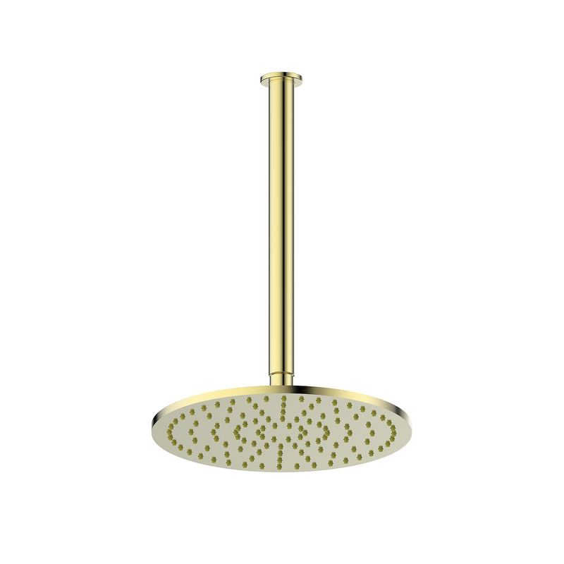 Greens Lavish Brass Ceiling Shower Brushed Brass