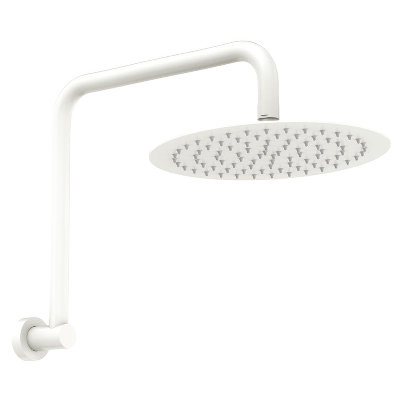 Fienza Kaya Gooseneck Shower Arm Set, Matte White