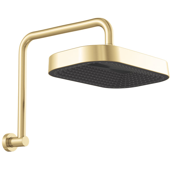 Fienza Kuro Gooseneck Shower Head and Arm Set, Soft Square Head - Brushed Gold (Urban Brass)