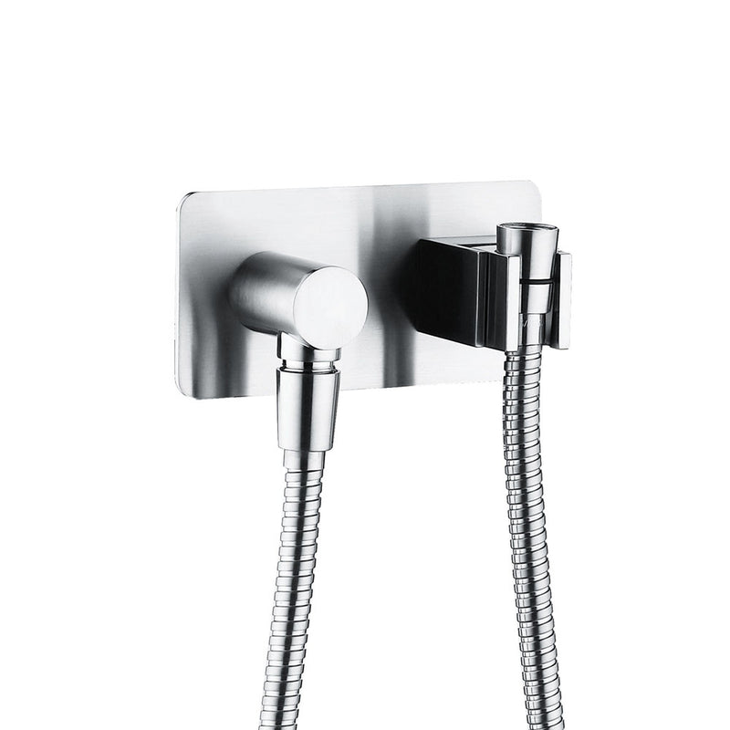 Fienza Universal Hand Shower Bracket & Hose, Chrome