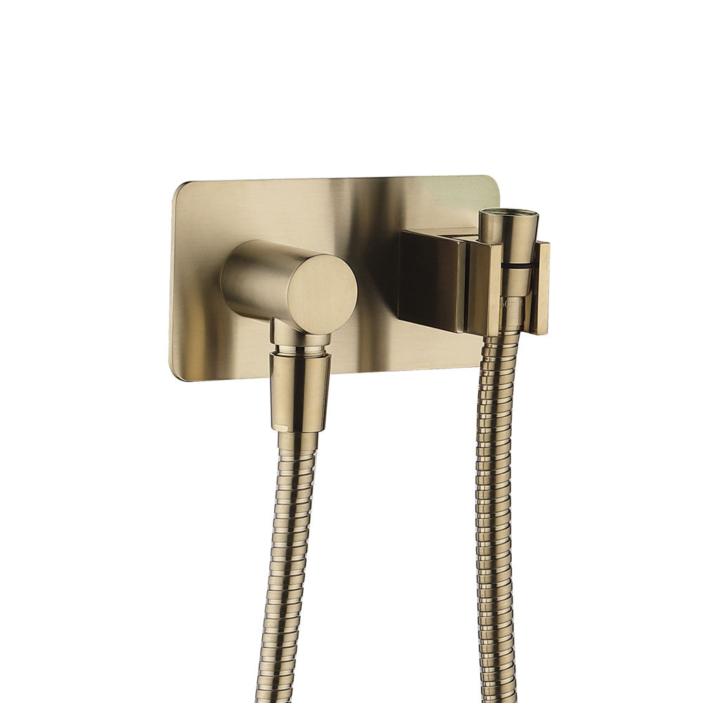 Fienza Universal Hand Shower Bracket & Hose, Urban Brass