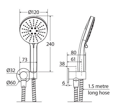 Fienza Empire Slim Hand Shower, Round Plate, Chrome