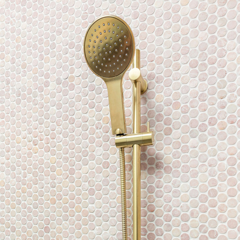 Fienza Kaya Rail Shower, Urban Brass