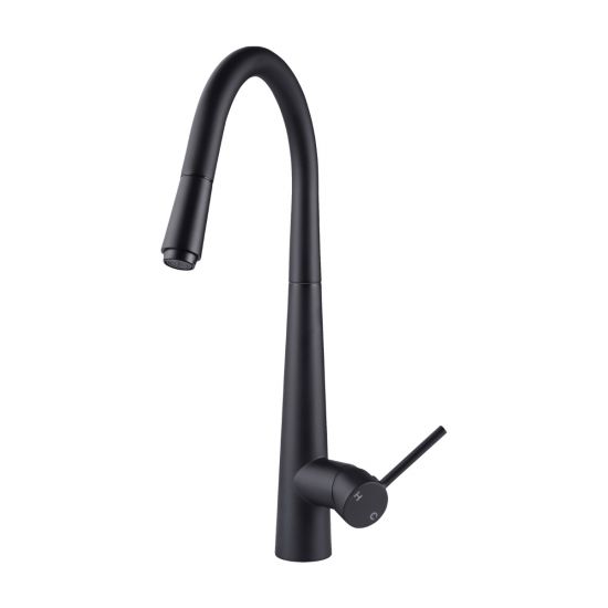 Aquaperla Euro Round Electroplated Black 360° Swivel Pull Out Kitchen Sink Mixer Tap 445*220mm