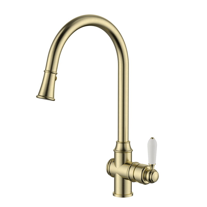Modern National Bordeaux Traditional Brushed Gold Pull Out Kitchen Sink Mixer