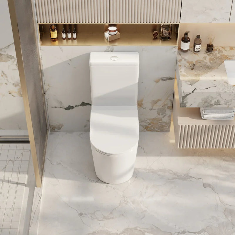 Mercio Oasis Rimless Back to Wall Toilet Matte White