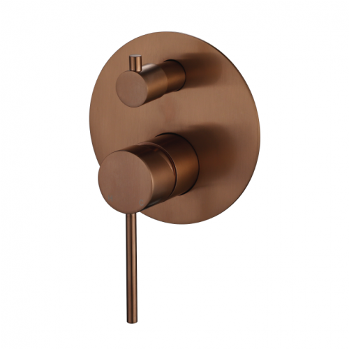 Modern National Star Mini Shower Diverter Mixer - Champagne — STRM009CM
