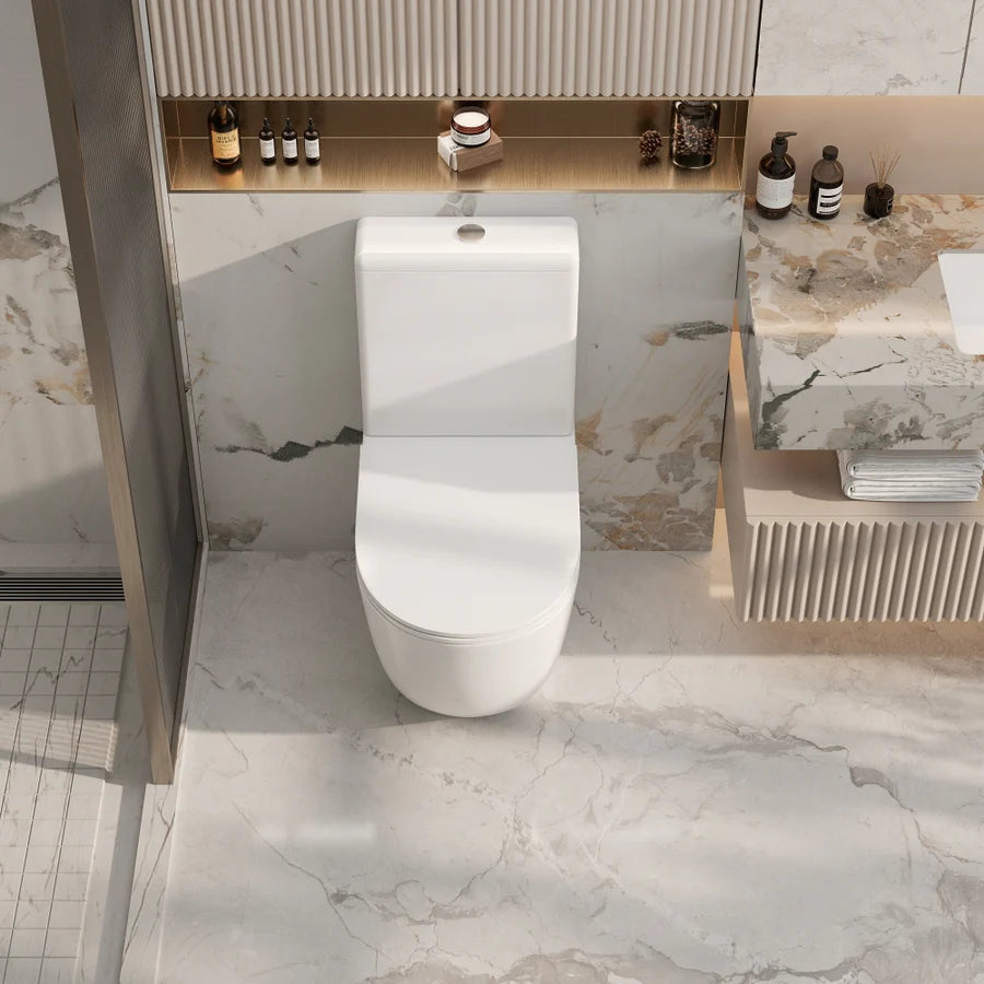 Rio Gloss White Rimless Back to Wall Toilet