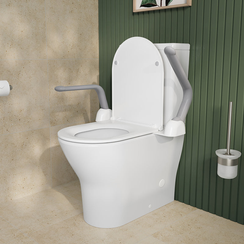Fienza Toilet Support Arms