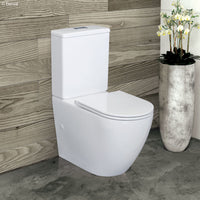 Fienza Alix Rimless Ambulant Back-to-Wall Toilet Suite Slim Seat Short Projection
