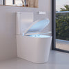 Smart Toilets