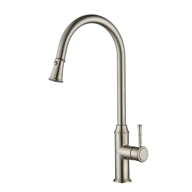 Modern National Montpellier Traditional Warm Brushed Nickel Pull Out Kitchen Sink Mixer
