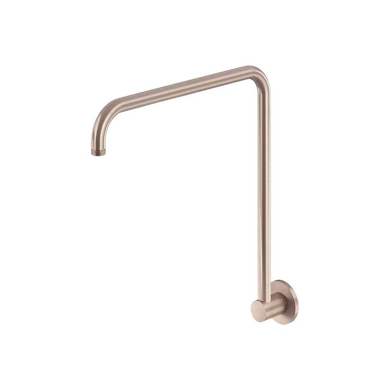 Meir High Rise Shower Arm Champagne