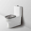 Back-to-Wall Toilet Suites