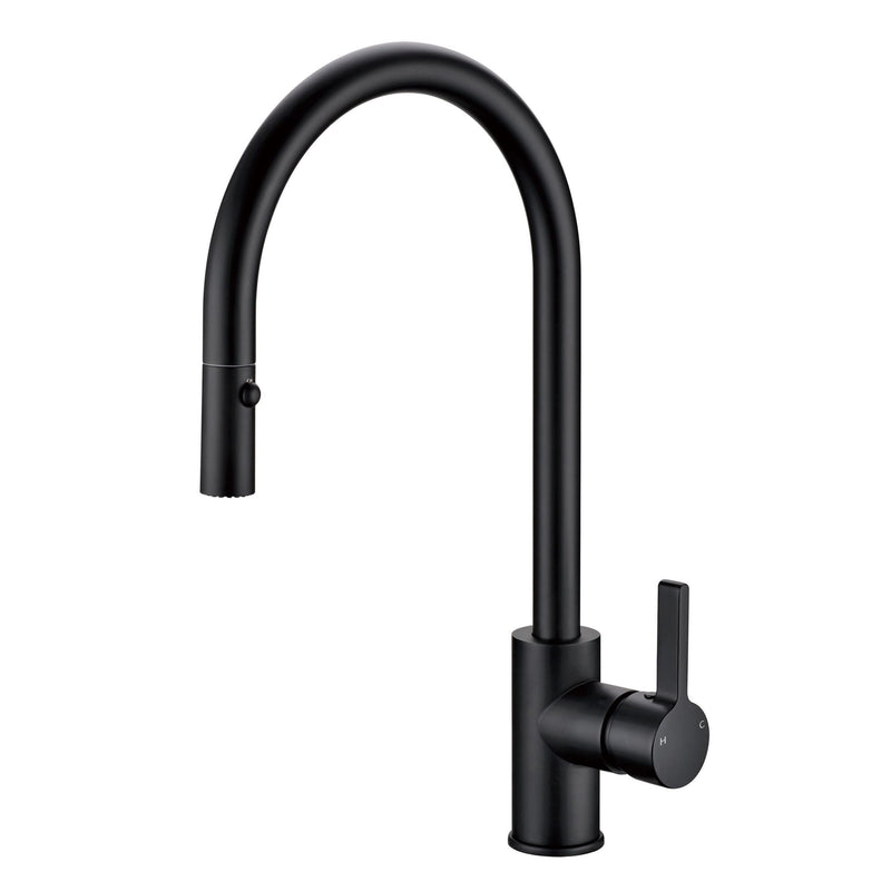 Morgan Pull Out Kitchen Mixer Matte Black