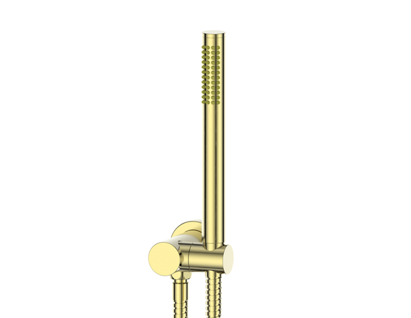 Greens Rocco Pin Hand Shower Brushed Brass