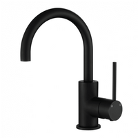Modern National Star Mini Basin / Kitchen Mixer - Matte Black