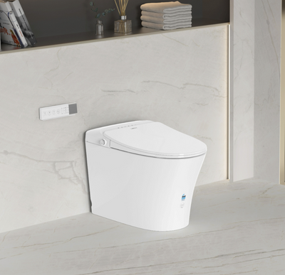 Smart Toilets