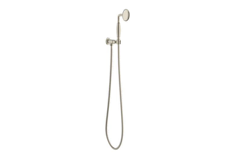 ADP Eternal Handshower on Hook Brushed Nickel