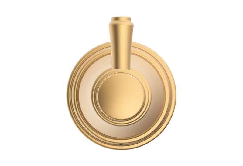 ADP Eternal Robe Hook Brushed Brass