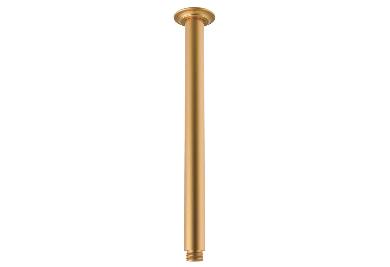 ADP Eternal Shower Dropper 300mm Brushed Brass