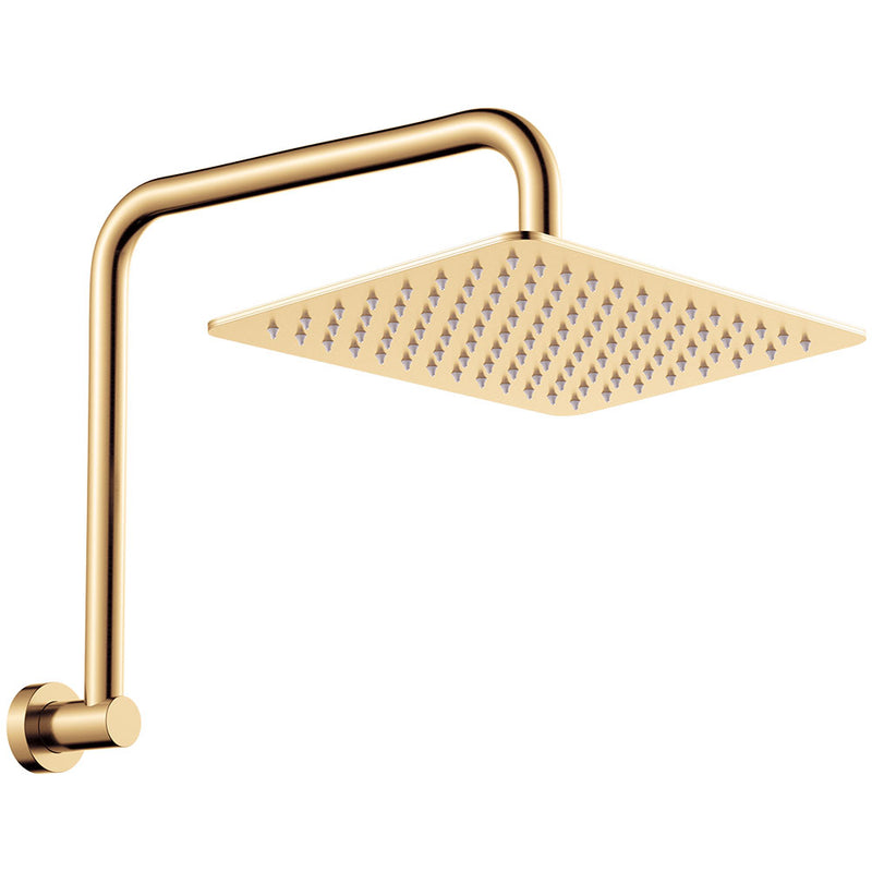 Fienza Tono Gooseneck Shower Arm Set, Brushed Gold (Urban Brass)