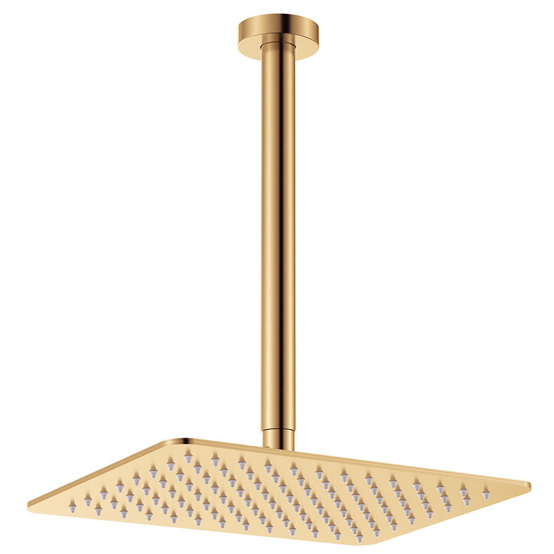 Fienza Tono Shower Dropper Set, Brushed Gold (Urban Brass)