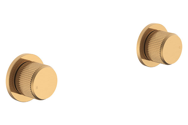 ADP Soul Groove Wall Top Assembly pair Brushed Brass