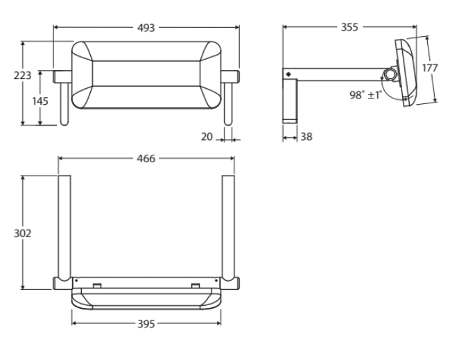 Fienza Care Back Rest Brushed Copper