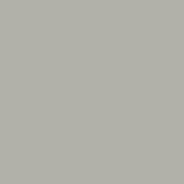 Grey Nouveau Silk (Matte)