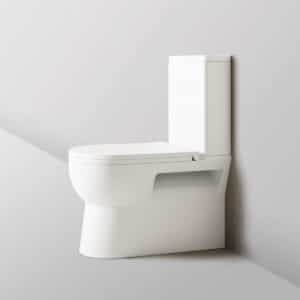 Pavi Gloss White Rimless Back to Wall Toilet Suite