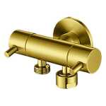 Linkware Dual Control Mini Cistern Tap PVD Gold