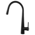 Aquaperla Euro Round Electroplated Black 360° Swivel Pull Out Kitchen Sink Mixer Tap 445*220mm