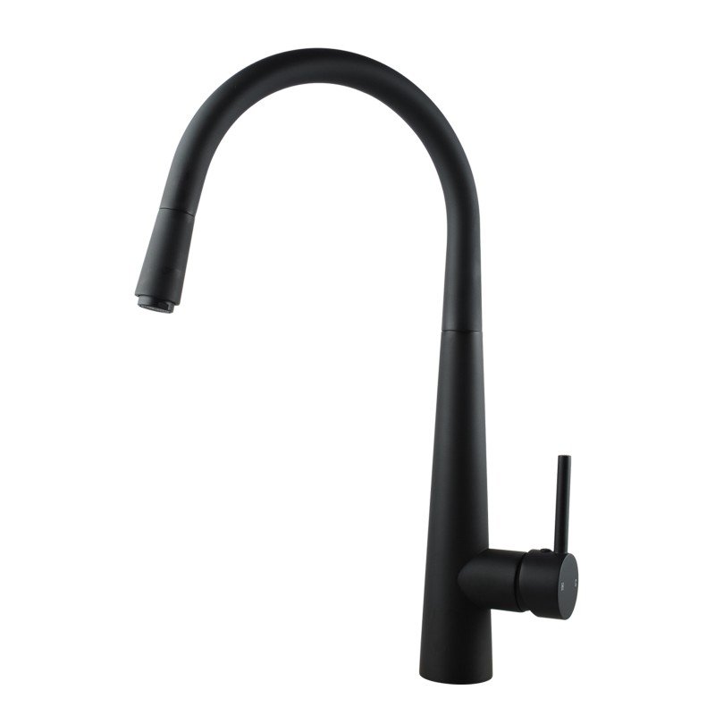 Aquaperla Euro Round Electroplated Black 360° Swivel Pull Out Kitchen Sink Mixer Tap 445*220mm