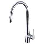 Aquaperla Euro Round Chrome 360° Swivel Pull Out Kitchen Sink Mixer Tap Solid Brass