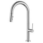 Modern National Bentley Pullout Kitchen Mixer 2 button Chrome