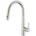 Nero Dolce Pull Out Sink Mixer with Vegie Spray Brushed Nickel